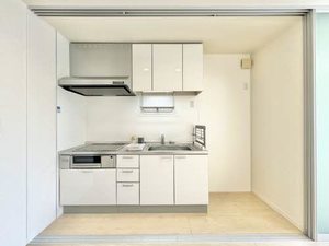 ピュアセレーネ 000C号-5