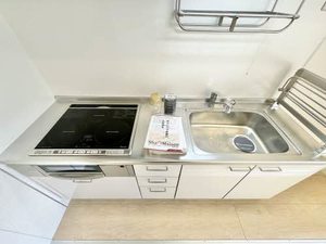 ピュアセレーネ 000C号-6