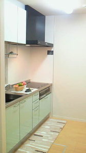 レーベン　ドルフ B101号-5