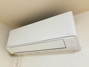 レーベン ドルフ B101号-12