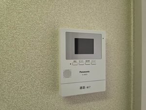 ツインコスモスA 0101号-10