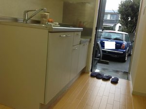 ツインコスモスＡ 0103号-3