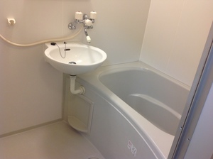 ツインコスモスＡ 0103号-4