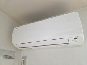 ツインコスモスA 0201号-11