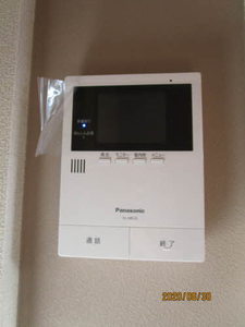 パインテール・セコンド 0101号-8