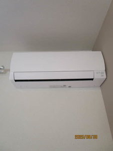 パインテール・セコンド 0101号-10