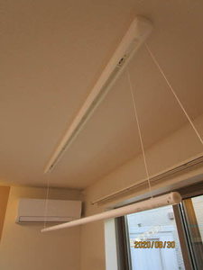 パインテール・セコンド 0202号-10