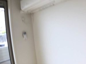 シャーメゾン　プレザント 0101号-12