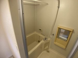 ドリームハウス 0206号-4