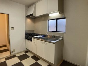 ドリームハウス 0206号-9