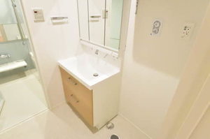 Ｅａｓｔ　Ｇａｒｄｅｎ（イーストガーデン） 0203号-12