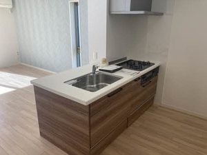 ラフィーネ　Ｓ． W103号-3