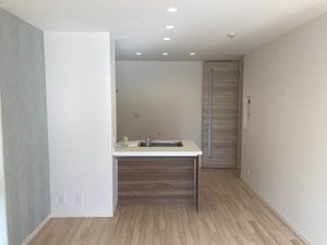 ラフィーネ　Ｓ． W103号-4