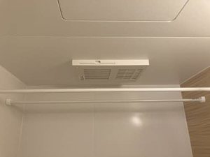 ラフィーネ　Ｓ． W103号-12