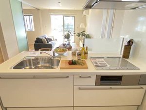 アルボレガ―ロ 0103号-11