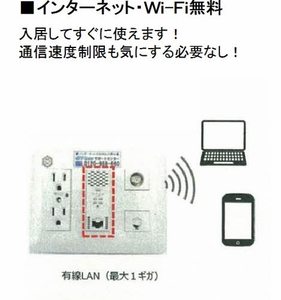 ＳＪＴ　ＫＡＫＥＧＡＷＡ 0101号-12