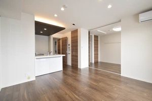 Ｃｉｅｌ　Ｃｌａｉｒ（シエル　クレール） 0301号-3