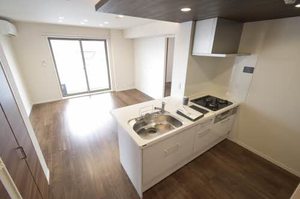 Ｃｉｅｌ　Ｃｌａｉｒ（シエル　クレール） 0301号-6