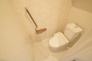 Ｃｉｅｌ　Ｃｌａｉｒ（シエル　クレール） 0301号-13