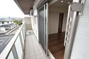 Ｃｉｅｌ　Ｃｌａｉｒ（シエル　クレール） 0301号-14