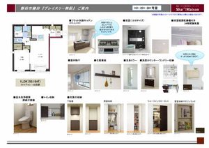 グレイスリー御厨 0201号-5