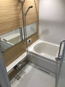 Ｃｅｌｅｓｔｅ 0102号-7