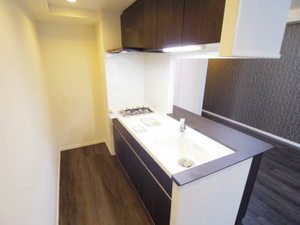 ロイジェント新栄Ⅱ 0301号-4