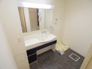 ロイジェント新栄Ⅱ 0301号-10