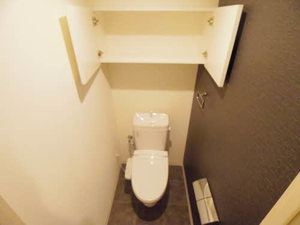 ロイジェント新栄Ⅱ 0301号-12