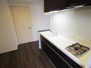 ロイジェント新栄Ⅱ 0305号-5