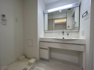 ロイジェント新栄Ⅱ 0702号-8