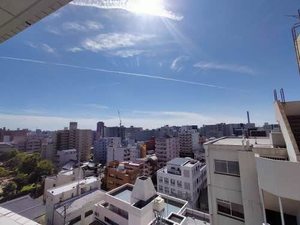 ロイジェント新栄Ⅱ 1101号-10