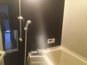 モダニティパレス望月 0203号-11