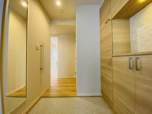 Ａｄｏｎｉｓ 0307号-2