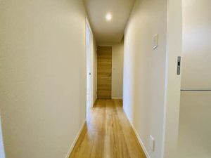 Ａｄｏｎｉｓ 0307号-4