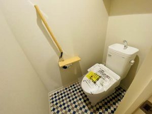 Ａｄｏｎｉｓ 0307号-5