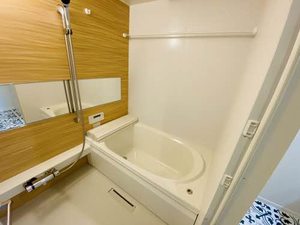 Ａｄｏｎｉｓ 0307号-10