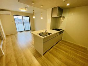 Ａｄｏｎｉｓ 0307号-11