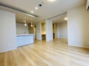 Ａｄｏｎｉｓ 0307号-12