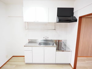 ＩＳＨＩＫＡＷＡビル 0203号-3