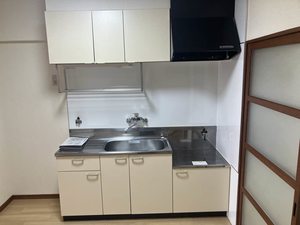 ISHIKAWAビル 0303号-4