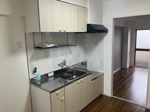 ISHIKAWAビル 0405号-4