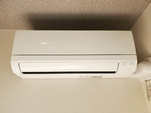 ミュール鴻 0203号-13