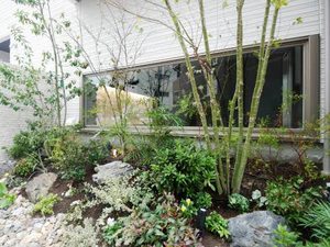 marrone UCHIYAMA 0201号-4