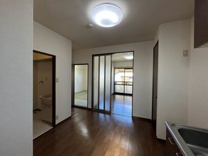 ステラ 0203号-4