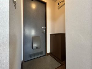 ステラ 0203号-5