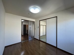 ステラ 0203号-8