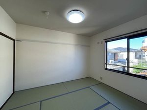ステラ 0203号-9