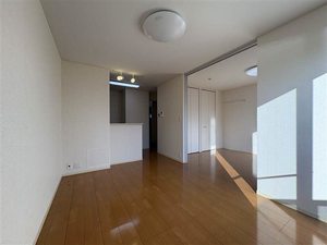 プレジール 0101号-3