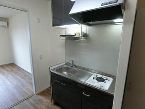 グリーン　ルーフ C202号-4